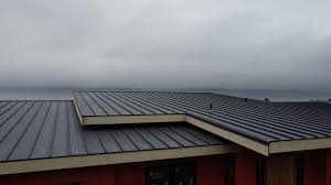 Best Roof Coating and Sealing  in Yaeyville, NC